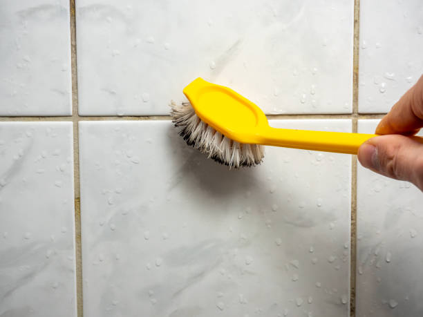 Best Best Mold Removal Companies  in Denison, TX