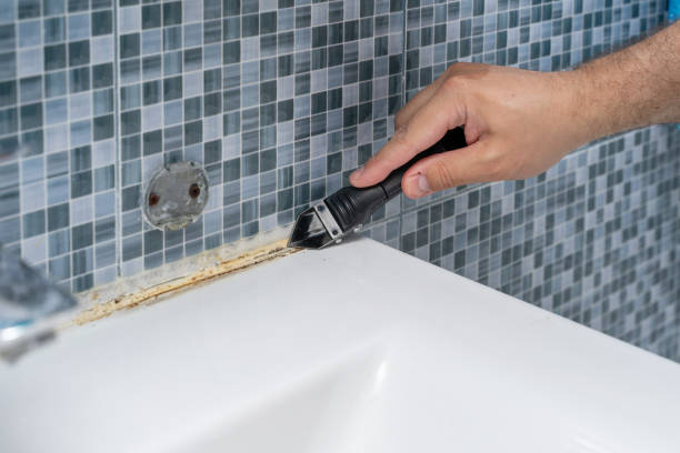 Best Mold Removal Company Near Me  in Denison, TX
