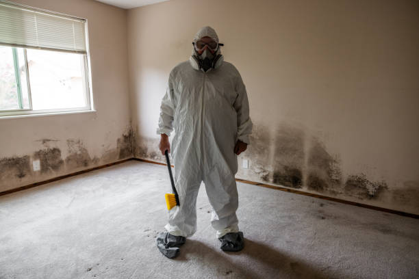 Best Residential Mold Removal  in Denison, TX